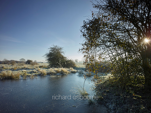 NWT New Buckenham Common, Norfolk, UK