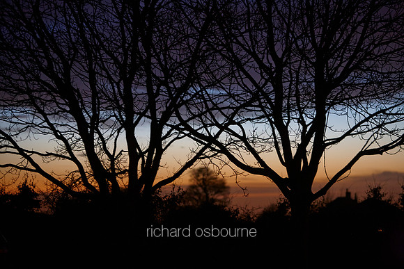 V7F34  Tree Silhouettes, Winter