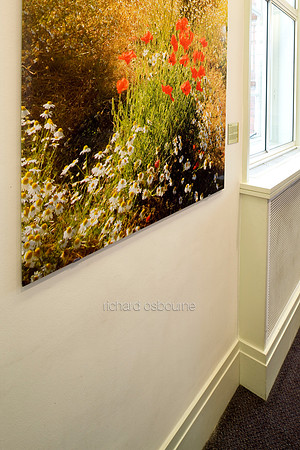 PhotoPanels 1m x 3m, Institution of Engineering and Technology, Savoy Place, London