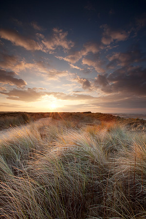 V4N17 Holme Dunes II