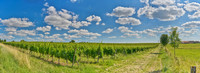 P5L58  Dordogne Countryside, South of France