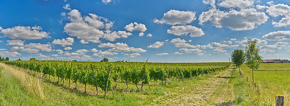 P5L58  Dordogne Countryside, South of France