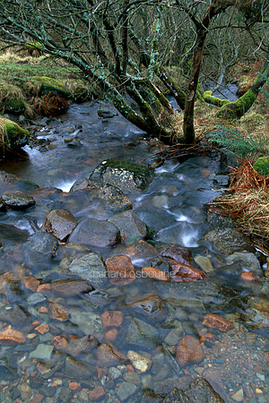 L1S8 Burn, Perthshire