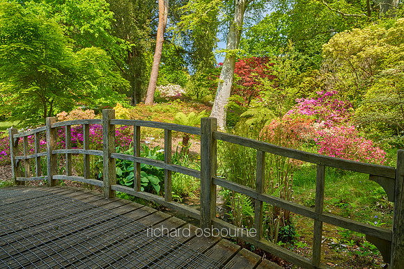 V19G1  Exbury Gardens, New Forest, Hampshire, UK