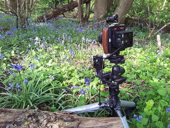Cambo WRS 1250 Technical Camera, Rodenstock 28 T/S lens, Phase One IQ260 Medium Format Digital Back.