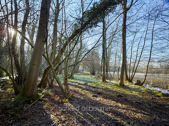 NWT Swangey Fen, Norfolk, UK