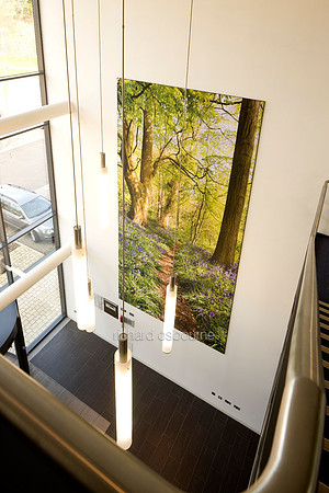 PhotoFab Tension Fabric Wall in Broadland Business Park, Norwich