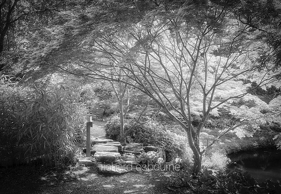 V19MF1  Exbury Gardens, New Forest, Hampshire, UK