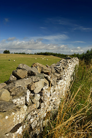 L1L9 Dry Stone Wall, Yorkshire Dales