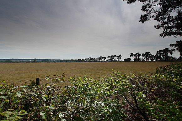 V5N4  NWT Weeting Heath, Norfolk, UK