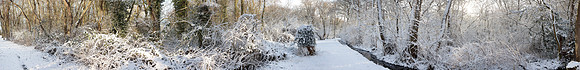 P2F25  Deep Winter, NWT Upton Broad and Marshes, Norfolk, UK