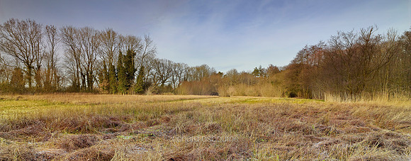 V8N32  NWT Lolly Moor, Norfolk, UK