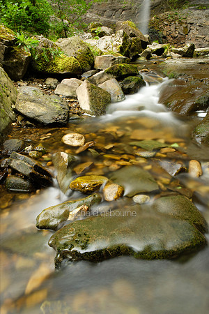 L1L24 Hardraw Force Downstream
