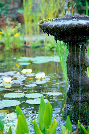L1G22 Fountain