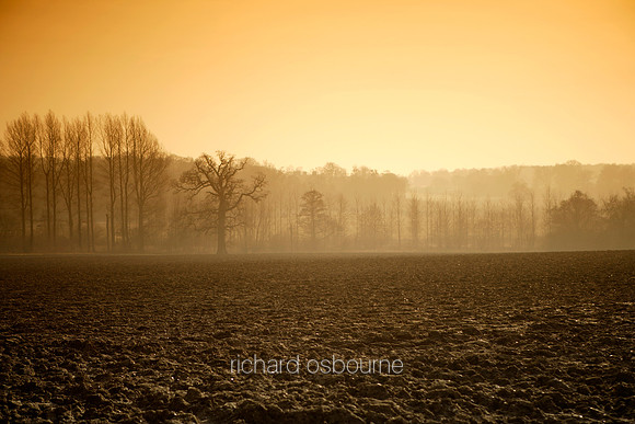 L1L3 Winter Fields