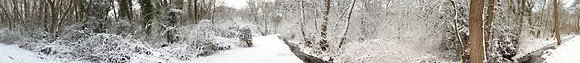 P2F24  Deep Winter, NWT Upton Broad and Marshes, Norfolk, UK