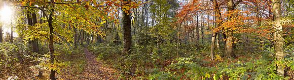 P3F46  Autumn, Wythenshawe Park, Manchester, UK
