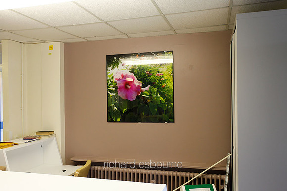 Withybush Hospital, Haverfordwest, Cancer Wards