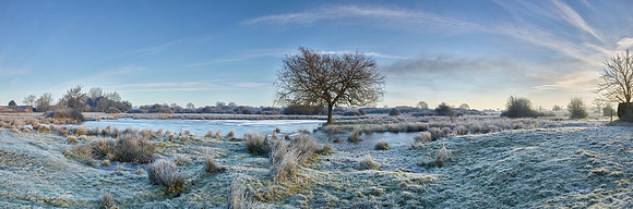 NWT New Buckenham Common, Norfolk, UK
