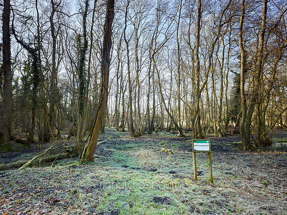 NWT Swangey Fen, Norfolk, UK