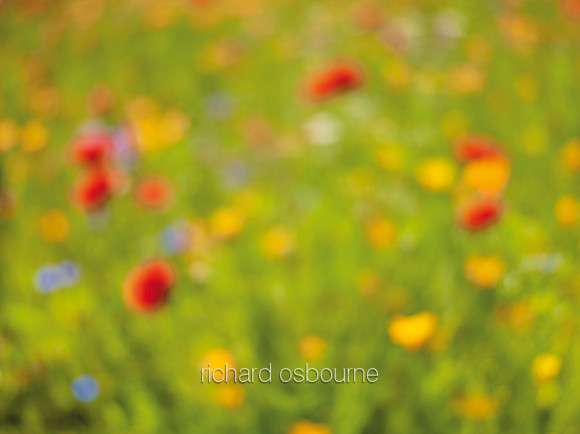 V14T149  Blurred Flowers