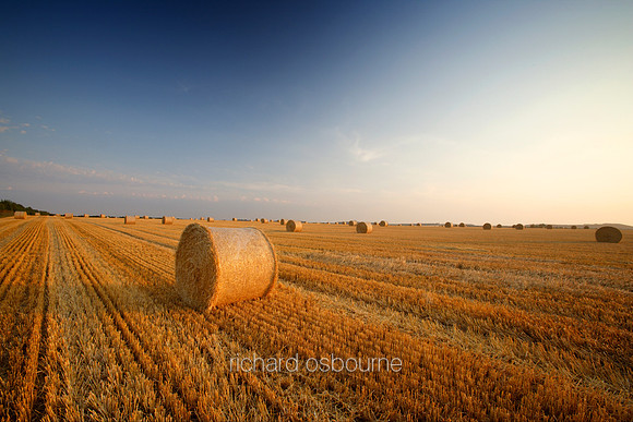 L1N7 Hay Bales