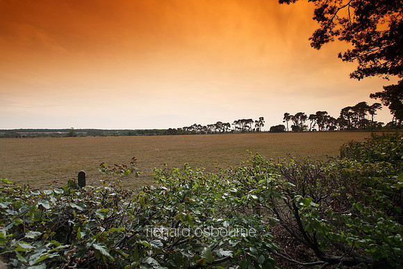 V5N3  NWT Weeting Heath, Norfolk, UK