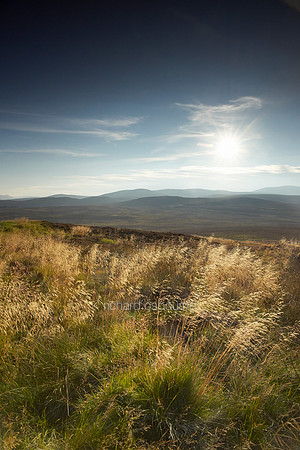 V8RS8  Glen Avon, Cairngorms National Park, Highland, Scotland UK