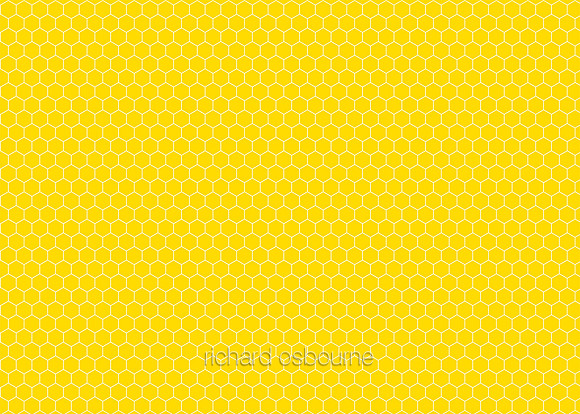 G417 Souwester Honeycomb
