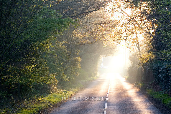 L1L20 Norfolk Lane
