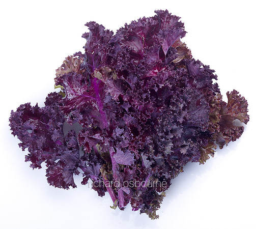 V8FD6  Purple Kale