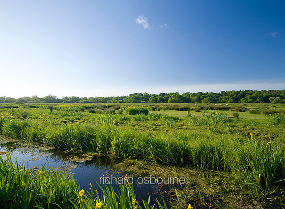 V5N18  Thorpe Marshes, Norwich, Norfolk, UK