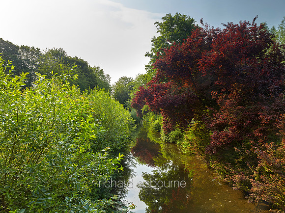 V12C10  River Lark, Bury St Edmunds, Suffolk, UK