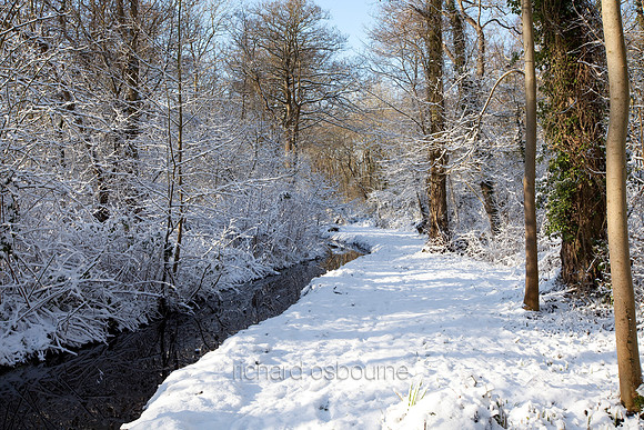 Winter, Upton Broad and Marshes, Norfolk, UK