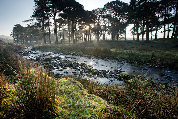 V3L49 Trough of Bowland II
