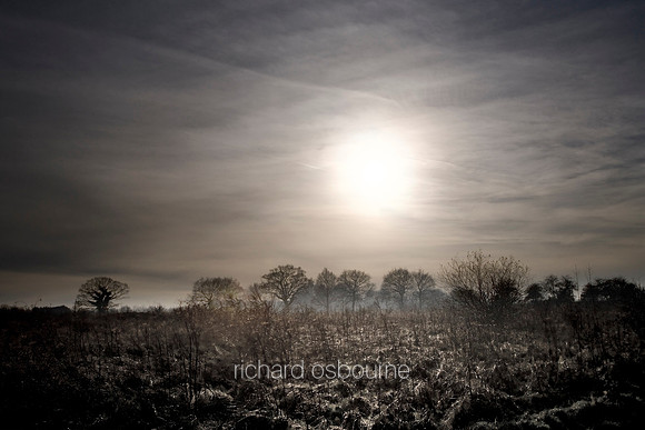 L1L13 Winter