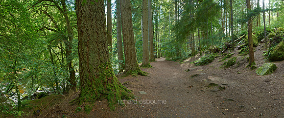 P3F42  River Braan and The Hermitage, Dunkeld, Perthshire, Scotland, UK