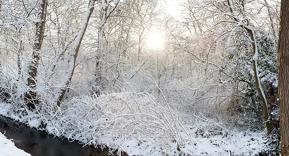 V5N10  Deep Winter, NWT Upton Broad and Marshes, Norfolk, UK