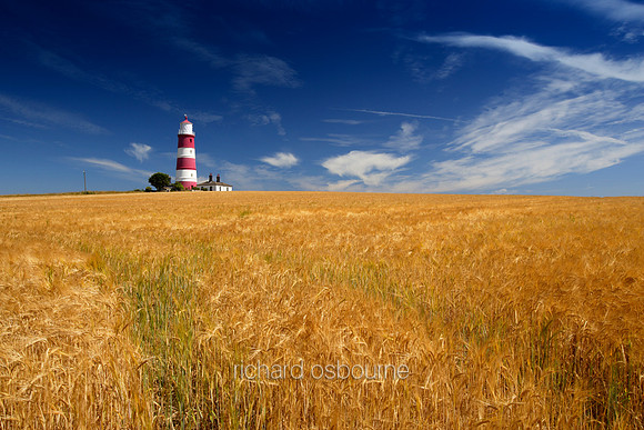 V1N26 Happisburgh Lighthouse and Barley, High Summer