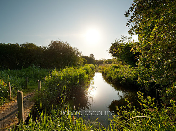 V5N41  Ted Ellis Nature Reserve, Norfolk Broads, UK