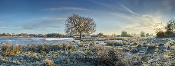 P4L3  NWT New Buckenham Common, Norfolk, UK