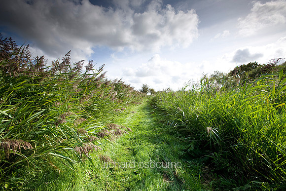 V5N17  Upton Broad and Marshes, Norfolk Broads, UK