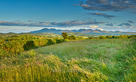 P5L51  Mountains of Mourne, County Down, Northern Ireland